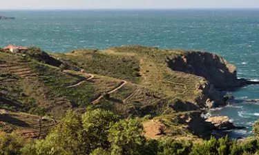 Route après Collioure